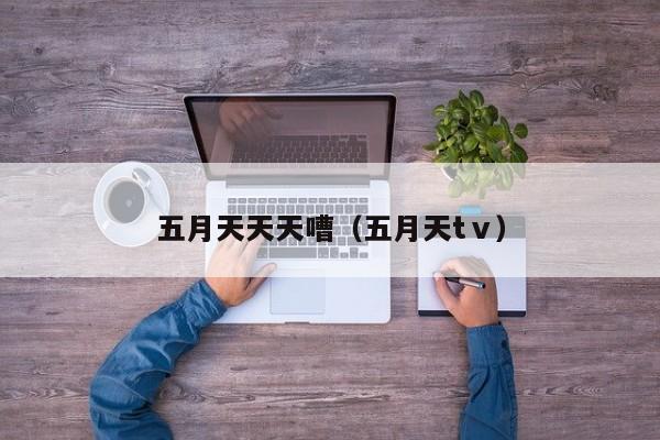五月天天天嘈（五月天tⅴ）