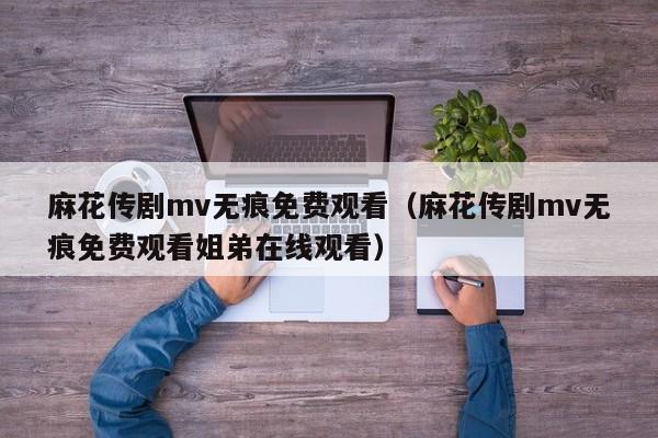 麻花传剧mv无痕免费观看（麻花传剧mv无痕免费观看姐弟在线观看）